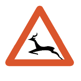  Wild animal crossing